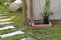 Gartenweg Schiefer hellgrau
